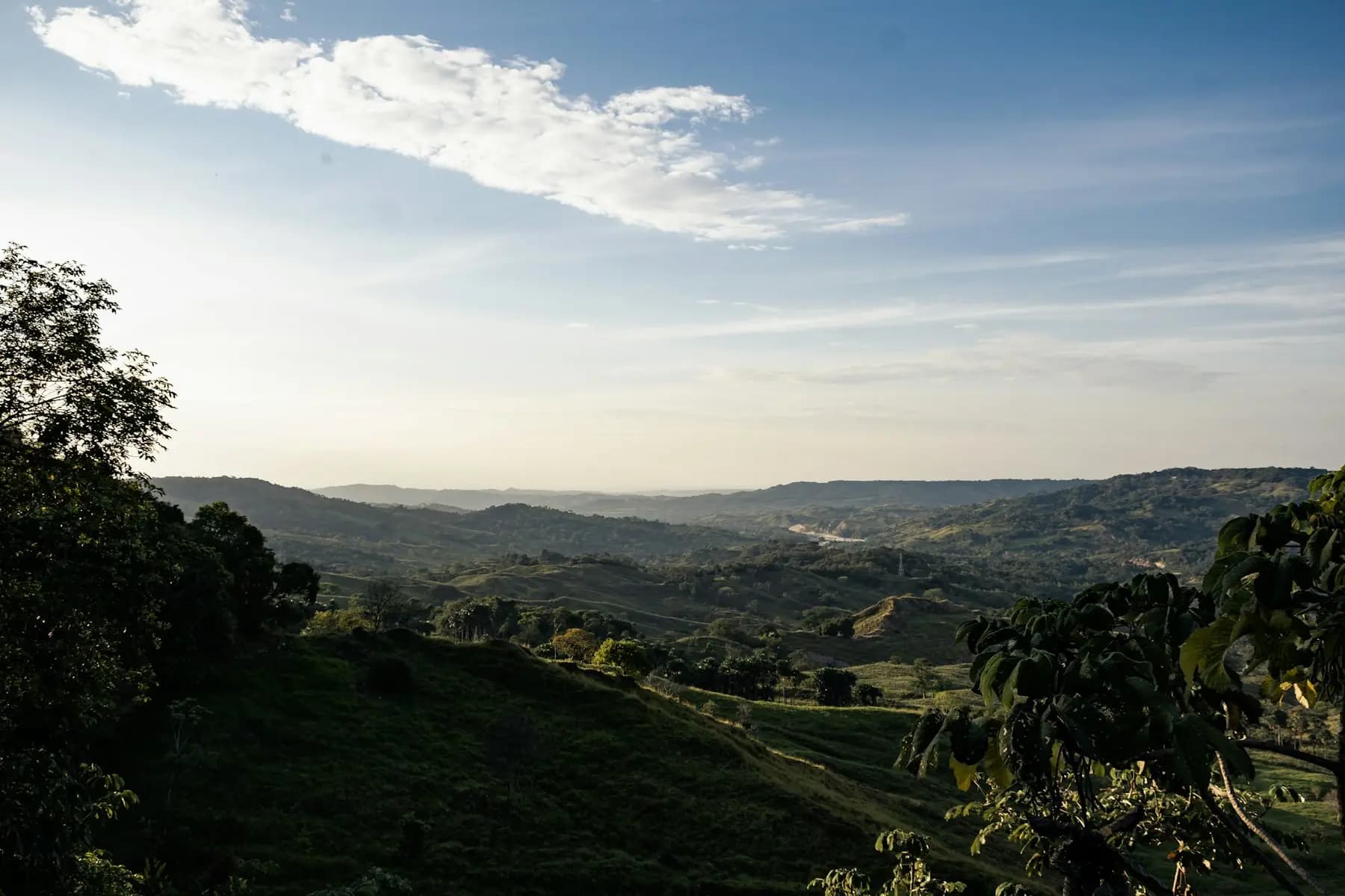 Montañas verdes y onduladas cubiertas de cultivos bajo un cielo con nubes.